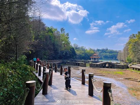 深圳蓮塘好去處